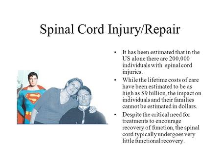 Spinal Cord Injury/Repair