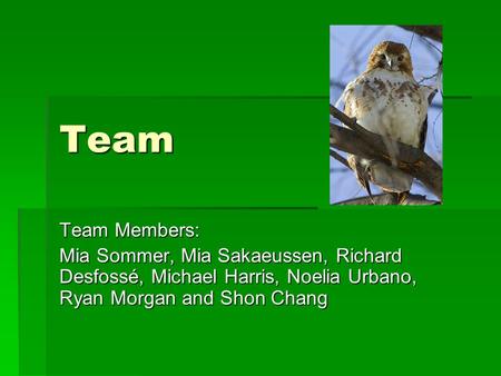 Team Team Members: Mia Sommer, Mia Sakaeussen, Richard Desfossé, Michael Harris, Noelia Urbano, Ryan Morgan and Shon Chang.