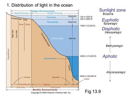 1. Distribution of light in the ocean Sunlight zone