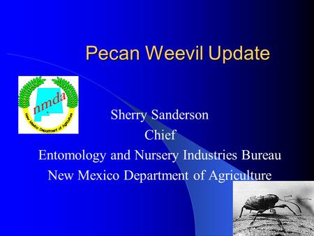 Pecan Weevil Update Sherry Sanderson Chief