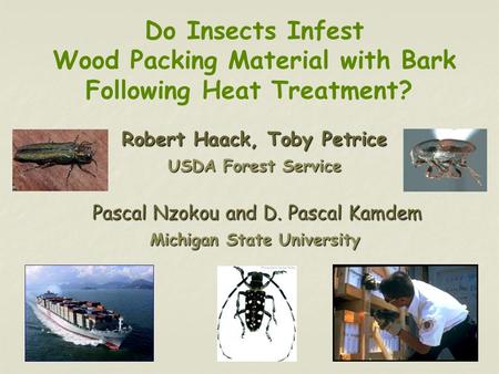 Do Insects Infest Wood Packing Material with Bark Following Heat Treatment? Robert Haack, Toby Petrice USDA Forest Service Pascal Nzokou and D. Pascal.