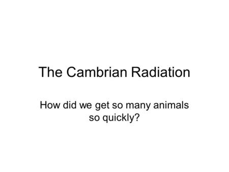 The Cambrian Radiation How did we get so many animals so quickly?
