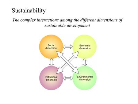 Sustainability The complex interactions among the different dimensions of sustainable development.
