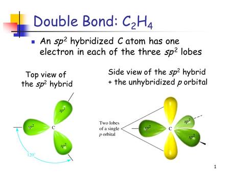 1 Double Bond: C 2 H 4 An sp 2 hybridized C atom has one electron in each of the three sp 2 lobes Top view of the sp 2 hybrid Side view of the sp 2 hybrid.