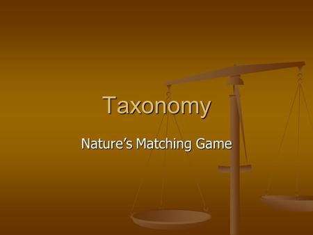Taxonomy Nature’s Matching Game. Big Concepts Species – What makes a species? Species – What makes a species? Evolution – How does evolution work?
