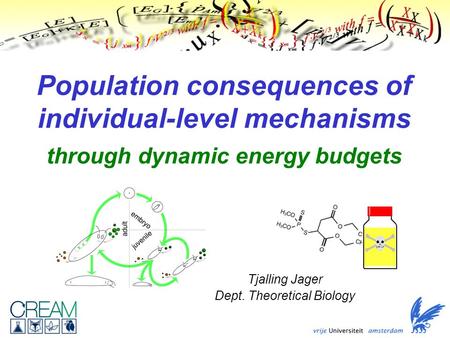 Population consequences of individual-level mechanisms through dynamic energy budgets Tjalling Jager Dept. Theoretical Biology.