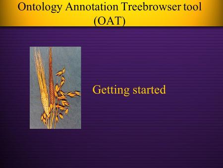 Ontology Annotation Treebrowser tool (OAT) Getting started.