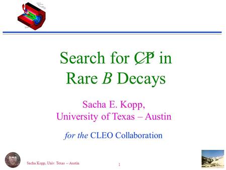 Sacha Kopp, Univ. Texas -- Austin 1 Search for CP in Rare B Decays Sacha E. Kopp, University of Texas – Austin for the CLEO Collaboration.