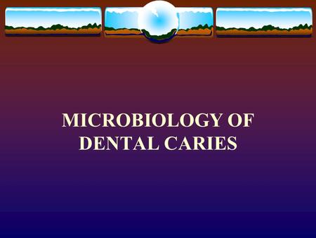 MICROBIOLOGY OF DENTAL CARIES INTRODUCTION  INFECTION:  DISEASE:  ASYMPTOMATIC CARRIAGE:  COLONIZAION: (NORMAL FLORA)