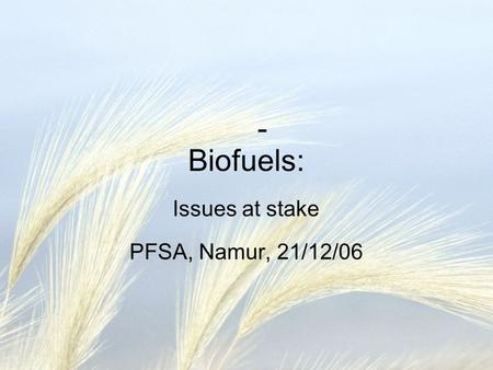 - Biofuels: Issues at stake PFSA, Namur, 21/12/06.