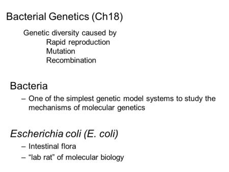 Bacterial Genetics (Ch18) Bacteria –One of the simplest genetic model systems to study the mechanisms of molecular genetics Escherichia coli (E. coli)