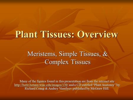Plant Tissues: Overview Meristems, Simple Tissues, & Complex Tissues Many of the figures found in this presentation are from the internet site