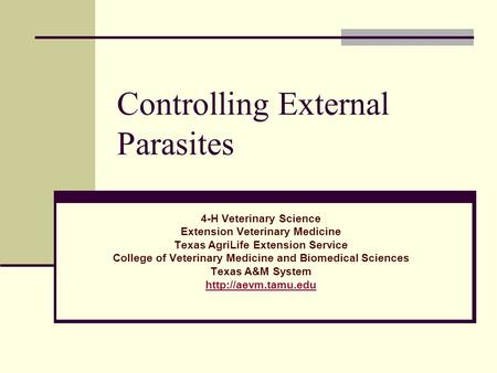 Controlling External Parasites 4-H Veterinary Science Extension Veterinary Medicine Texas AgriLife Extension Service College of Veterinary Medicine and.