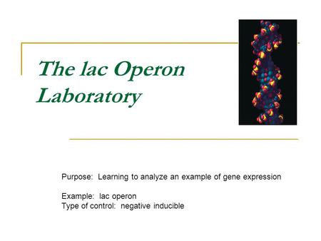 The lac Operon Laboratory Purpose: Learning to analyze an example of gene expression Example: lac operon Type of control: negative inducible.