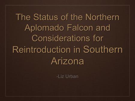 The Status of the Northern Aplomado Falcon and Considerations for Reintroduction in Southern Arizona -Liz Urban.