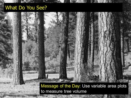 What Do You See? Message of the Day: Use variable area plots to measure tree volume.