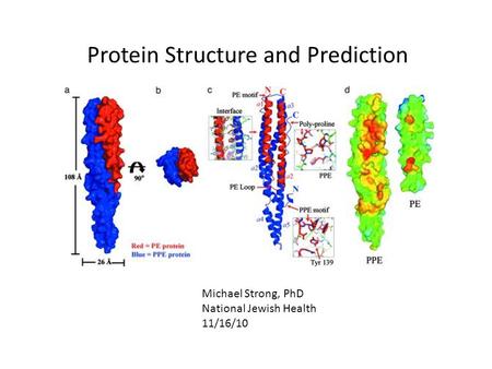 Protein Structure and Prediction