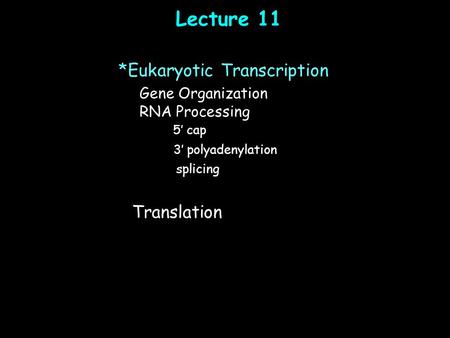 Lecture 11 Gene Organization RNA Processing 5’ cap 3’ polyadenylation splicing *Eukaryotic Transcription Translation.