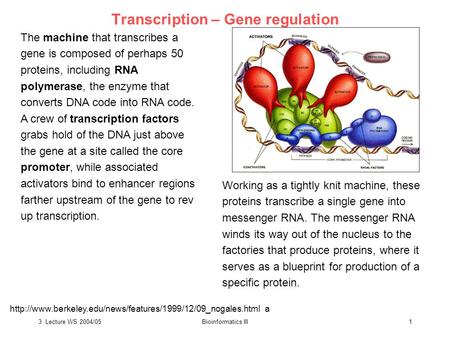 3. Lecture WS 2004/05Bioinformatics III1 Transcription – Gene regulation The machine that transcribes a gene is composed of perhaps 50 proteins, including.