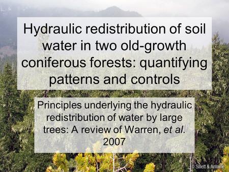 Hydraulic redistribution of soil water in two old-growth coniferous forests: quantifying patterns and controls Principles underlying the hydraulic redistribution.