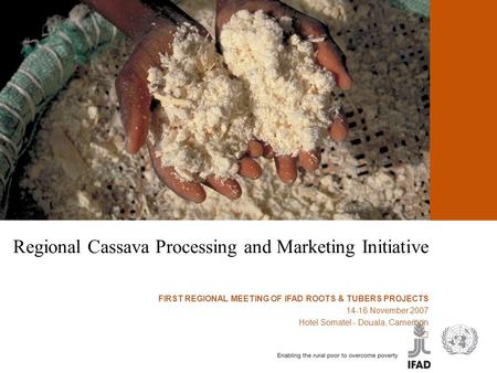 Cassava processing and marketing Regional Cassava Processing and Marketing Initiative FIRST REGIONAL MEETING OF IFAD ROOTS & TUBERS PROJECTS 14-16 November.