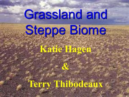 Grassland and Steppe Biome