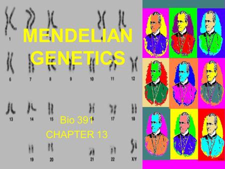 Bio 391 CHAPTER 13 MENDELIAN GENETICS. DNA vocabulary there are 4 chromatids in a tetrad.