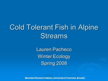 Cold Tolerant Fish in Alpine Streams Lauren Pacheco Winter Ecology Spring 2008 Mountain Research Station, University of Colorado, Boulder.