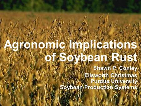 Agronomic Implications of Soybean Rust Shawn P. Conley Ellsworth Christmas Purdue University Soybean Production Systems.