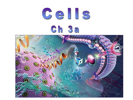 The cell is the smallest unit of life. All organisms are composed one or more cells. New cells arise from previously existing cells.