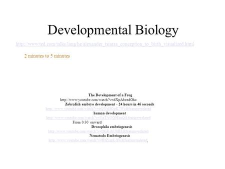 Developmental Biology The Development of a Frog  Zebrafish embryo development - 24 hours in 46 seconds