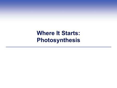 Where It Starts: Photosynthesis. Introduction  Before photosynthesis evolved, Earth’s atmosphere had little free oxygen  Oxygen released during photosynthesis.