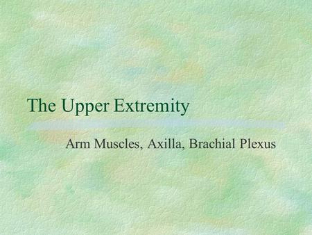 The Upper Extremity Arm Muscles, Axilla, Brachial Plexus.