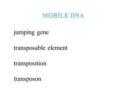 Jumping gene transposable element transposition transposon.