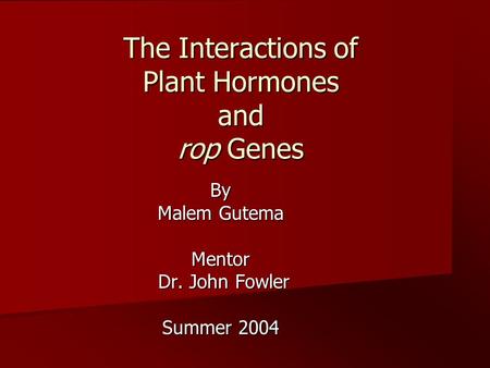 The Interactions of Plant Hormones and rop Genes By Malem Gutema Mentor Dr. John Fowler Dr. John Fowler Summer 2004.