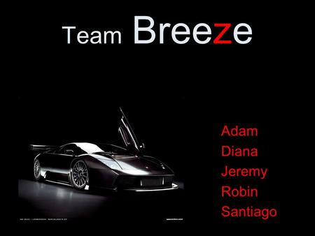 Team Breeze Adam Diana Jeremy Robin Santiago. The improved entry system.
