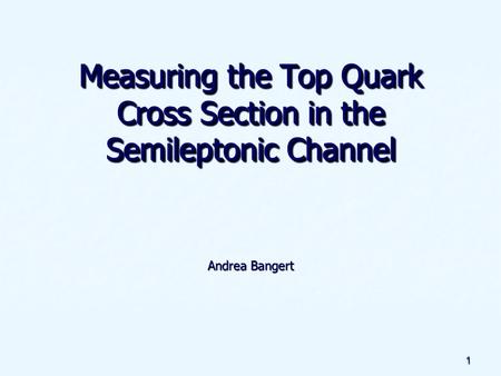 1 Measuring the Top Quark Cross Section in the Semileptonic Channel Andrea Bangert.