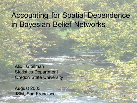 1 Accounting for Spatial Dependence in Bayesian Belief Networks Alix I Gitelman Statistics Department Oregon State University August 2003 JSM, San Francisco.