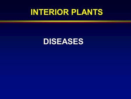 DISEASES INTERIOR PLANTS. Disease Definition  Disease- abnormality in structure or function caused by an infectious agent that injures or destroys 