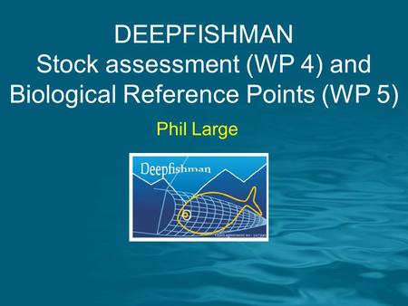 DEEPFISHMAN Stock assessment (WP 4) and Biological Reference Points (WP 5) Phil Large.