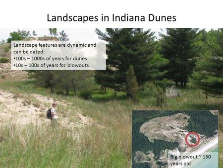 Landscapes in Indiana Dunes Landscape features are dynamic and can be dated: 100s – 1000s of years for dunes 10s – 100s of years for blowouts Big blowout.