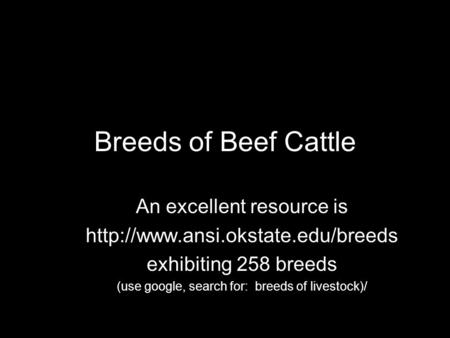 Breeds of Beef Cattle An excellent resource is