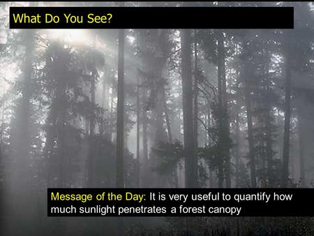 What Do You See? Message of the Day: It is very useful to quantify how much sunlight penetrates a forest canopy.