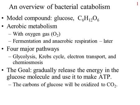 An overview of bacterial catabolism