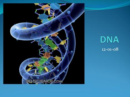 DNA 12-01-08.