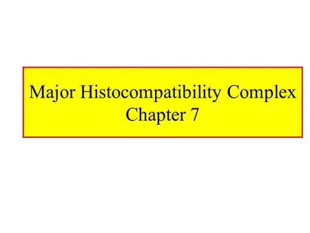 Major Histocompatibility Complex Chapter 7. MHC Major Histocompatibility Complex –Cluster of genes found in all mammals –Its products play role in discriminating.