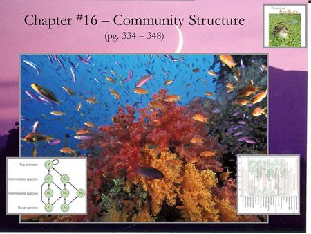 Chapter #16 – Community Structure