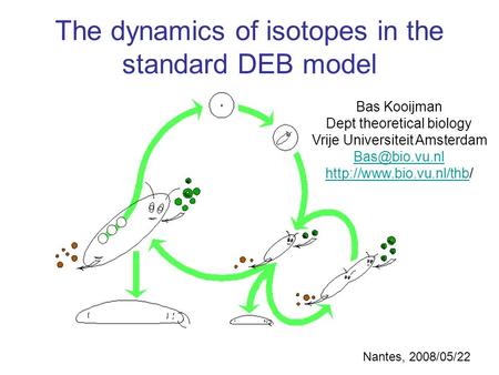 Bas Kooijman Dept theoretical biology Vrije Universiteit Amsterdam  The dynamics of isotopes.
