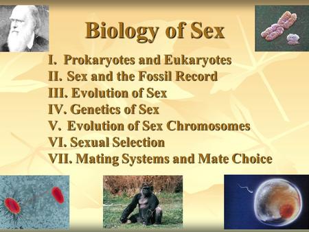 Biology of Sex I.Prokaryotes and Eukaryotes II. Sex and the Fossil Record III. Evolution of Sex IV. Genetics of Sex V. Evolution of Sex Chromosomes VI.