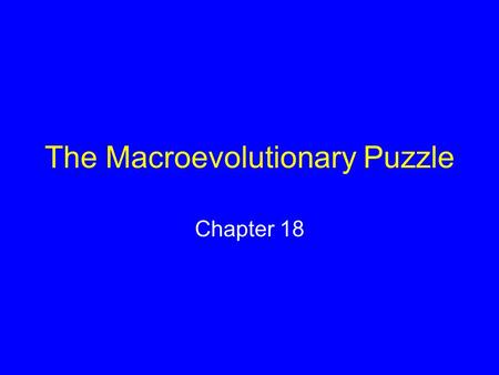 The Macroevolutionary Puzzle